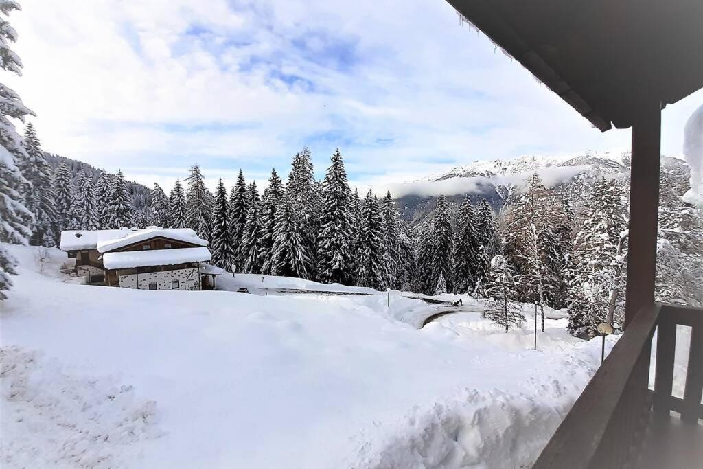 Апартаменты Dream House Quadrifoglio. Sulle Piste Di Folgarida,Madonna Di Campiglio. Экстерьер фото